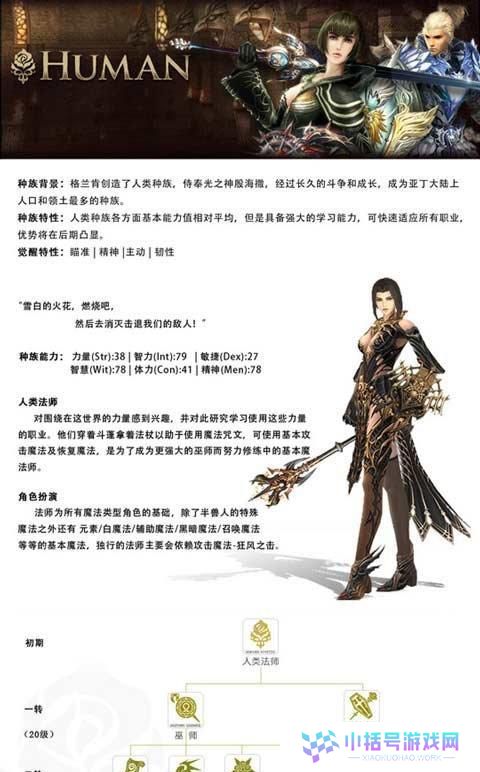 世界OL法师技能加点攻略（无限可能的魔法路，如何合理加点提升实力）