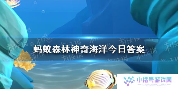 只要把海螺放在耳边就能随时随地听到大海的声音吗  神奇海洋3月10日答案